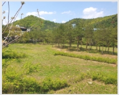  2025Ÿ��1532  �������