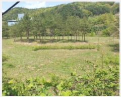  2025Ÿ��1532  �������