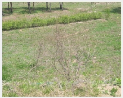  2025Ÿ��1532  �������