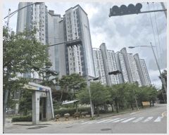  2025Ÿ��2337  ����Ʈ���