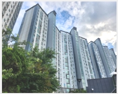  2025Ÿ��2337  ����Ʈ���