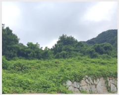  2025Ÿ��2894  �Ӿ߰��