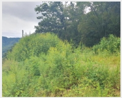  2025Ÿ��2894  �Ӿ߰��