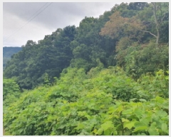  2025Ÿ��2894  �Ӿ߰��