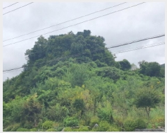  2025Ÿ��2894  �Ӿ߰��