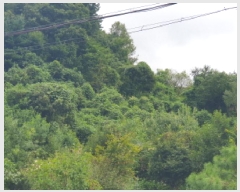  2025Ÿ��2894  �Ӿ߰��