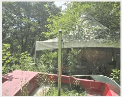  2025Ÿ��2979 ��� ���� ������ ������ 585      ����(��)���