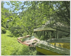  2025Ÿ��2979 ��� ���� ������ ������ 585      ����(��)���