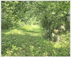  2025Ÿ��2979 ��� ���� ������ ������ 585      ����(��)���