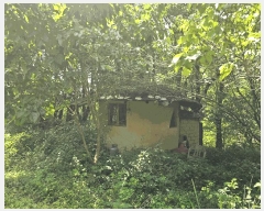  2025Ÿ��2979 ��� ���� ������ ������ 585      ����(��)���