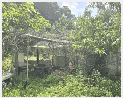  2025Ÿ��2979 ��� ���� ������ ������ 585      ����(��)���