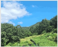  2025Ÿ��3392  �����