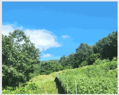  2025Ÿ��3392  �����