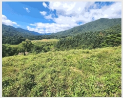  2025Ÿ��3392  �����