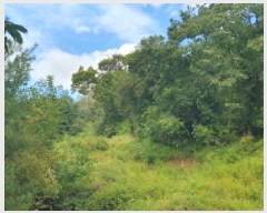  2025Ÿ��3392  �����