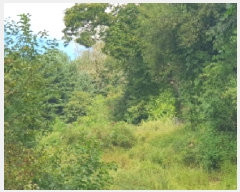  2025Ÿ��3392  �����