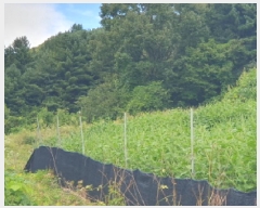  2025Ÿ��3392  �����