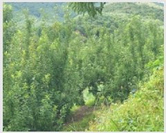  2025Ÿ��3392  �����