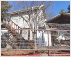  2025Ÿ��70262  ���(ķ����)���