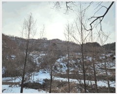  2025Ÿ��71286  �����