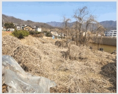  2025Ÿ��71286 ��� ���� ������ ������ 410      ����(��1)���