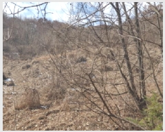  2025Ÿ��71286 ��� ���� ������ ������ 439      ����(��1)���