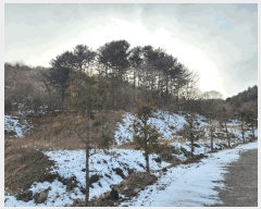  2025Ÿ��71286 ��� ���� ������ ������ 410      ����(��1)���