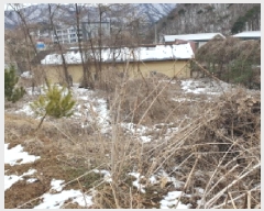  2025Ÿ��71286 ��� ���� ������ ������ 410      ����(��1)���