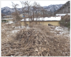  2025Ÿ��71286 ��� ���� ������ ������ 410      ����(��1)���