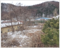  2025Ÿ��71286 ��� ���� ������ ������ 410      ����(��1)���