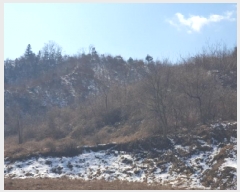  2025Ÿ��71286 ��� ���� ������ ������ 410      ����(��1)���