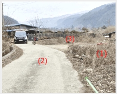  2025Ÿ��71297  â�����