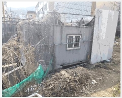  2025Ÿ��71445  �������