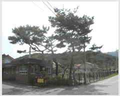  2025Ÿ��71618 ��� ���� ������ ��� 880-7      ����(����)���