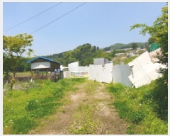  2025Ÿ��71651  �����