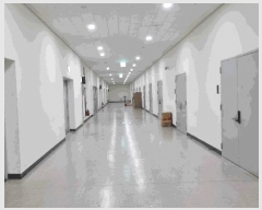  2025Ÿ��72363  ����Ʈ��������