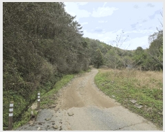  2025Ÿ��72386 ��� ���� ������ �ݴ븮 ��199      ����(�Ӿ�)���