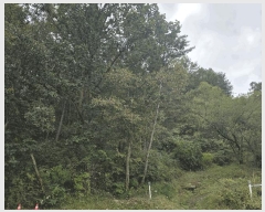  2025Ÿ��72386 ��� ���� ������ �ݴ븮 ��199      ����(�Ӿ�)���