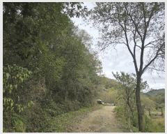  2025Ÿ��72386 ��� ���� ������ �ݴ븮 ��199      ����(�Ӿ�)���