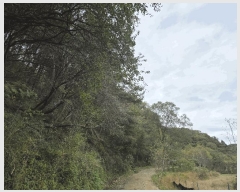  2025Ÿ��72386 ��� ���� ������ �ݴ븮 ��199      ����(�Ӿ�)���