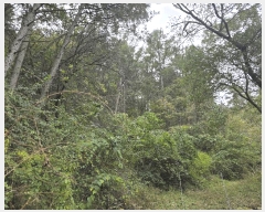  2025Ÿ��72386 ��� ���� ������ �ݴ븮 ��199      ����(�Ӿ�)���