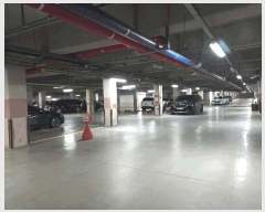  2025Ÿ��72762  ����Ʈ���