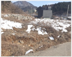  2025Ÿ��263 ��� ���� ���Ǹ� ��渮 754      ����(��1)���