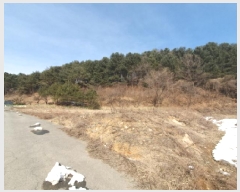  2025Ÿ��263 ��� ���� ���Ǹ� ��渮 754      ����(��1)���