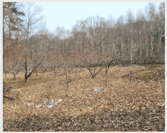  2025Ÿ��607 ��� �����ֽ� ������ �ݰ 333      ���ð��