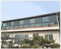  2025Ÿ��607 ��� �����ֽ� ������ �ݰ 333      ���ð��