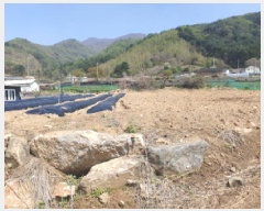  2025Ÿ��1464 ��� ���� ������ ���Ǹ� 412-4      ����(�Ӿ�)���