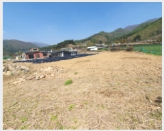  2025Ÿ��1464 ��� ���� ������ ���Ǹ� 412-4      ����(�Ӿ�)���