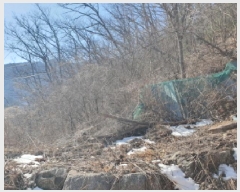  2025Ÿ��70521 ��� ���� û��� ȣ���� ��132-72      ����(�Ӿ�)���