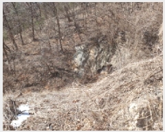  2025Ÿ��70521 ��� ���� û��� ȣ���� ��132-72      ����(�Ӿ�)���